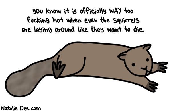 Natalie Dee comic: SSW there are some miserable squirrels in my yard * Text: 