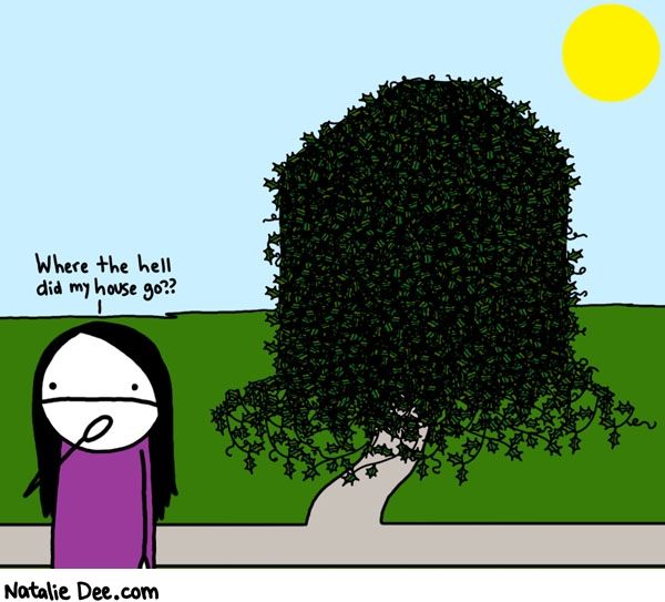 Natalie Dee comic: ivy season followed closely by house covered in dead twigs season * Text: 

Where the hell did my house go?



