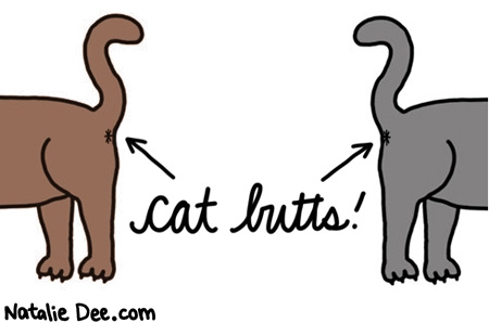 Natalie Dee comic: gaze into them cat butts * Text: 