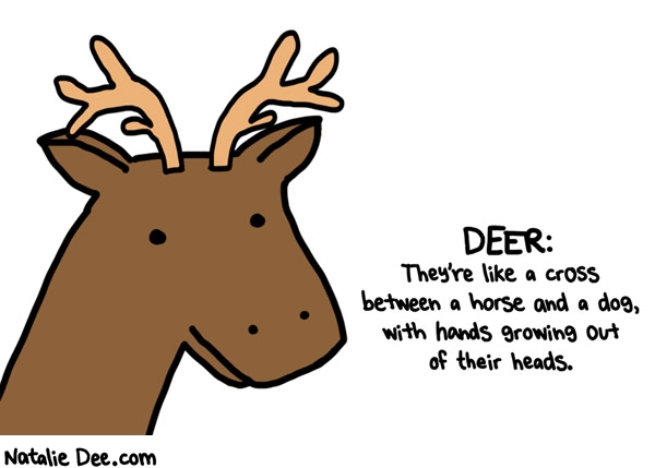 Natalie Dee comic: CDW luckily i never feel the need to draw deer cause theyre boring * Text: 