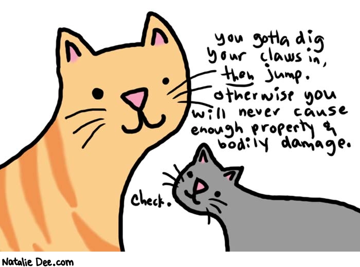 Natalie Dee comic: cat class * Text: 
You gotta dig your claws in, then jump. otherwise you will never cause enough property & bodily damage.


Check.



