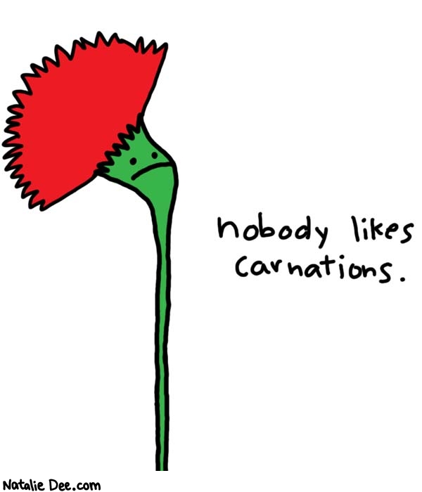 Natalie Dee comic: nobody likes em * Text: 

nobody likes carnations.



