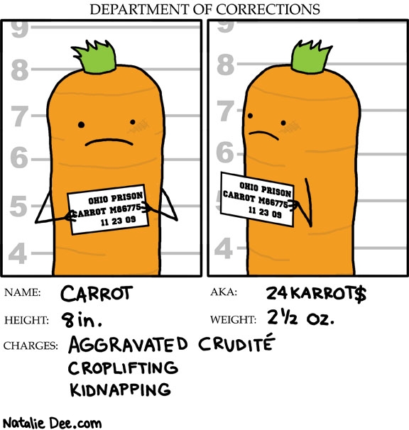 Natalie Dee comic: carrot mugshot * Text: carrot 24karrot$ 8 in 2 1/2 oz aggravated crudite croplifting kidnapping