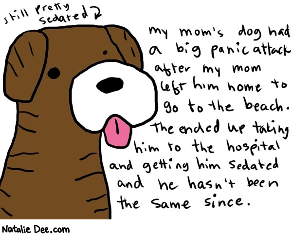 Natalie Dee comic: romeo * Text: 

still pretty sedated


my mom's dog had a big panic attack after my mom left him home to go to the beach. They ended up taking him to the hospital and getting him sedated and he hasn't been the same since.



