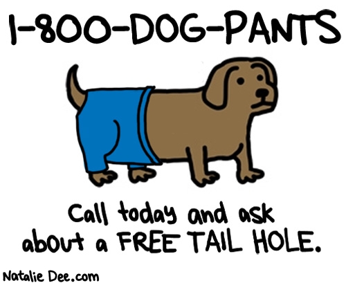 Natalie Dee comic: cover up that dogs anus * Text: 