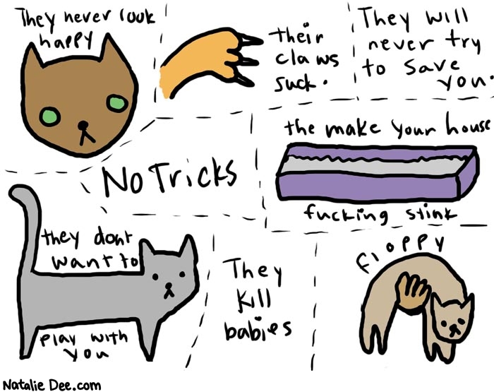 Natalie Dee comic: why i hate cats * Text: 

They never look happy


Their claws suck.


They will never try to save you.


No Tricks


They make your house fucking stink


they don't want to play with you


They kill babies


floppy



