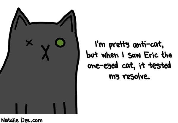Natalie Dee comic: then i realized i just liked his name and went back to hating cats * Text: 