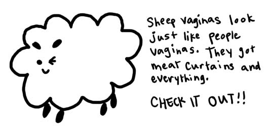 Natalie Dee comic: funfact * Text: 

sheep vaginas look just like people vaginas. They got meat curtains and everything.


CHECK IT OUT!!



