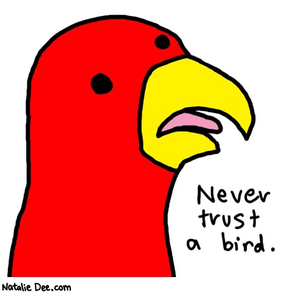 Natalie Dee comic: dont trust em * Text: 

Never trust a bird.



