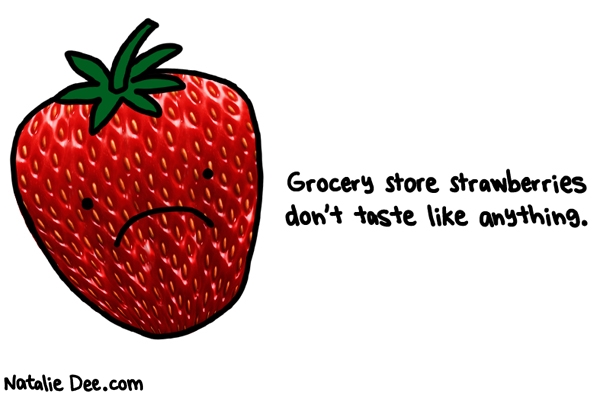 Natalie Dee comic: they dont even taste like anything enough to say theyre yucky * Text: grocery store strawberries dont taste like anything
