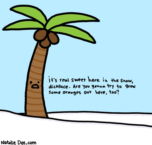 Natalie Dee comic: you cant just grow any tree in ohio * Text: 

it's real sweet here in the snow, dickface. Are you gonna try to grow some orangeso ut here, too?




