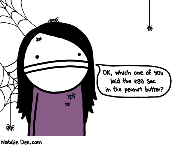 Natalie Dee comic: spiders are shitty roommates * Text: ok which one of you laid the egg sac in the peanut butter