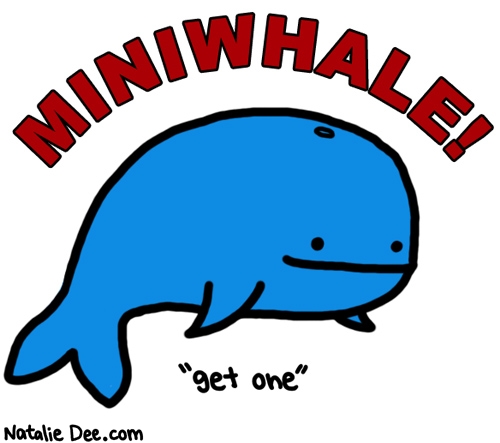 Natalie Dee comic: youre nobody if you dont have a miniwhale * Text: miniwhale get one