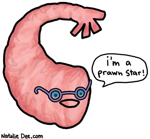 Natalie Dee comic: i dont know if i would call you a star but you are a very good prawn * Text: im a prawn star