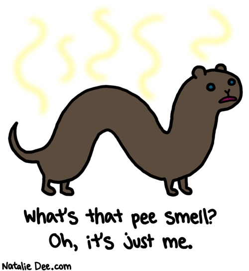 Natalie Dee comic: i want a pet that will make my house smell like a urinal * Text: whats that pee smell oh its just me