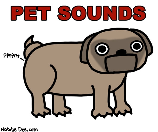 Natalie Dee comic: chester covers pet sounds * Text: pet sounds