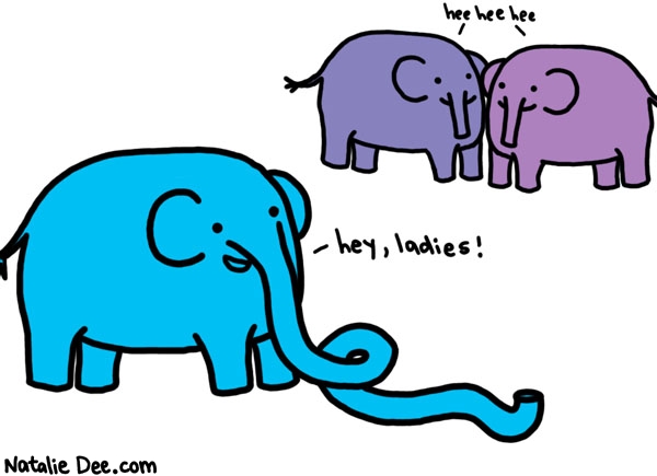 Natalie Dee comic: lady elephants appreciate a large trunk * Text: hey, ladies! hee hee hee