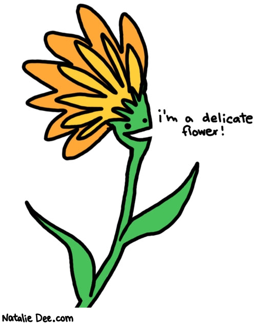 Natalie Dee comic: delicate flower * Text: 
i'm a delicate flower!



