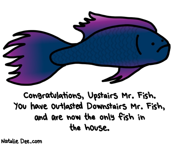 Natalie Dee comic: you let a 2 year old name your fish and you might have 2 mr fishes too * Text: congratulations upstairs mr fish you have outlasted downstairs mr fish and are now the only fish in the house