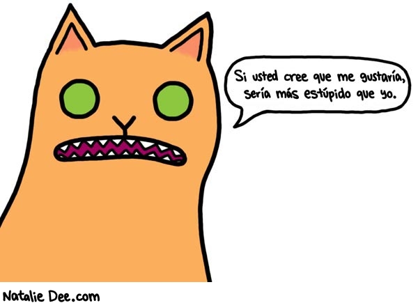 Natalie Dee comic: SW mas estupido que soy * Text: si usted cree que me gustaria seria mas estupido que yo