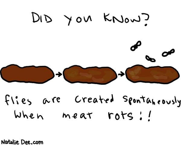 Natalie Dee comic: sciencefact * Text: 

DID YOU KNOW?


flies are created spontaneously when meat rots!!



