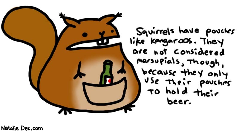 Natalie Dee comic: beer pouch * Text: 
Squirrels have pouches like kangaroos. They are not considered marsupials, though, because they only use their pouches to hold their beer.



