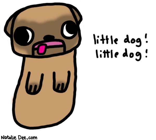 Natalie Dee comic: little dog * Text: 

little dog!


little dog!



