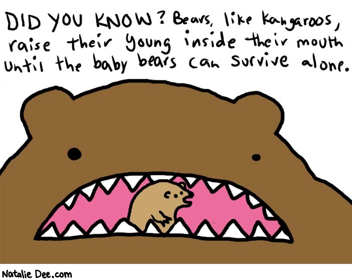 Natalie Dee comic: did you know * Text: 

DID YOU KNOW? Bears, like kangaroos, raise their young inside their mouth until the baby bears can survive alone.




