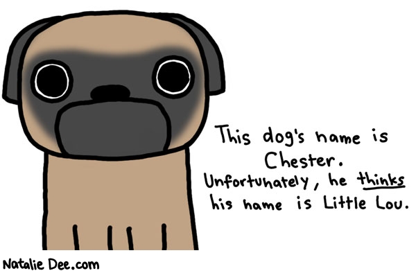 Natalie Dee comic: little lou  the dog that named himself * Text: this dog's name is chester. unfortunately, he thinks his name is little lou.