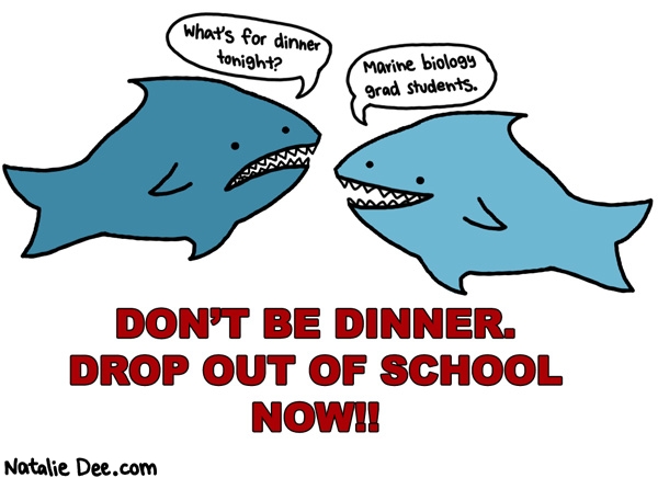 Natalie Dee comic: first they take all your money for tuition then youre dead * Text: whats for dinner tonight marine biology grad students dont be dinner drop out of school now