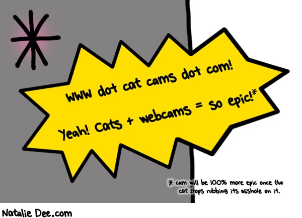 Natalie Dee comic: yah watching cats rules * Text: 