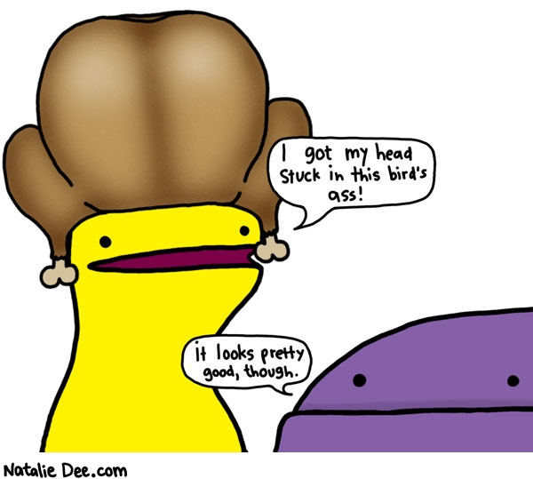 Natalie Dee comic: hes got his thanksgiving hat on * Text: i got my head stuck in this birds ass it looks pretty good though