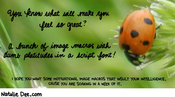 Natalie Dee comic: MW motivational image macro week * Text: 