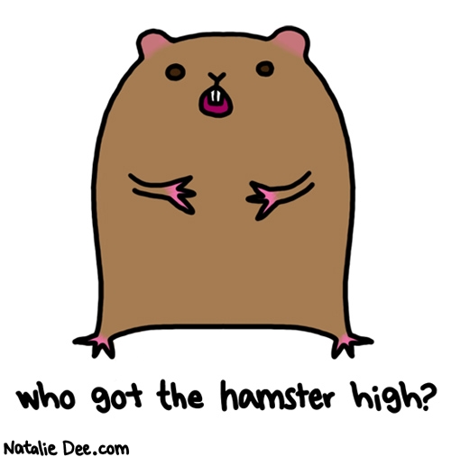 Natalie Dee comic: not me he seems pretty high though * Text: who got the hamster high