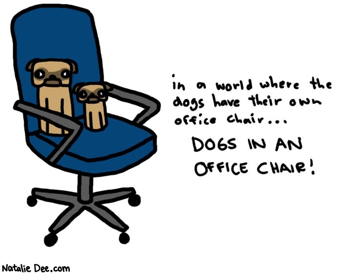 Natalie Dee comic: impulse buy number 46377 * Text: 

in a world where the dogs have their own office chair...


DOGS IN AN OFFICE CHAIR!



