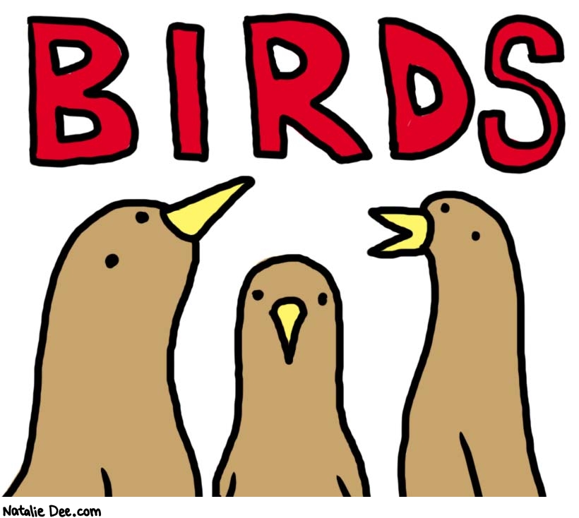 Natalie Dee comic: birdtime starting in 3 2 1 * Text: 

BIRDS



