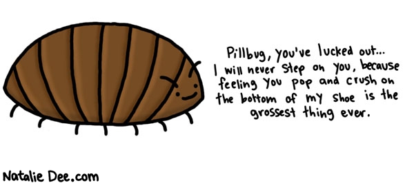 Natalie Dee comic: you lucky bastard * Text: pillbug, you've lucked out... i will never step on you because feeling you pop and crush on the bottom of my shoe is the grossest thing ever.