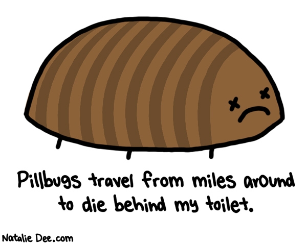 Natalie Dee comic: its kind of depressing actually * Text: pillbugs travel from miles around to die behind my toilet