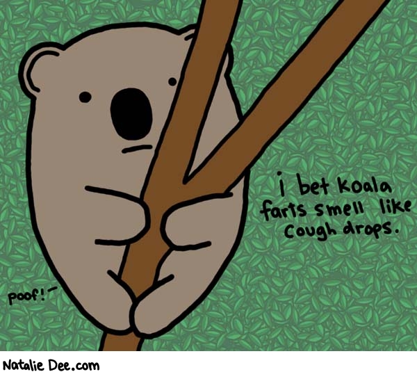 Natalie Dee comic: mentholyptus * Text: i bet koala farts smell like cough drops
