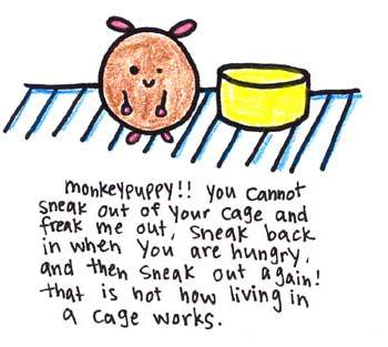 Natalie Dee comic: monkeypuppy * Text: 

monkeypuppy!! you cannot sneak out of your cage and freak me out, sneak back in when you are hungry, and then sneak out again! that is not how living in a cage works.



