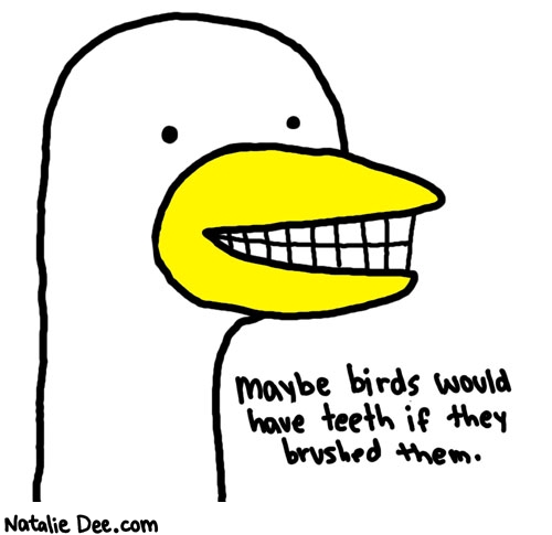 Natalie Dee comic: brush your effin teeth birds * Text: maybe birds would have teeth if they brushed them