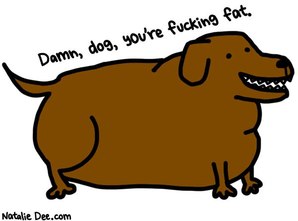 Natalie Dee comic: thats a fat dog bro * Text: 