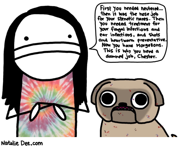 Natalie Dee comic: how did you get morgellons dog * Text: first you needed neutered then it was the nose job for your stenotic nares then you needed treatment for your fungal infections and ear infections and shots and heartworm preventative now you have morgellons this is why you need a damned job chester