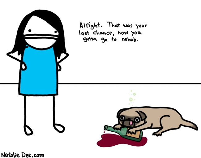 Natalie Dee comic: dog rehab * Text: 
Alright. That was your last chance, now you gotta go to rehab.



