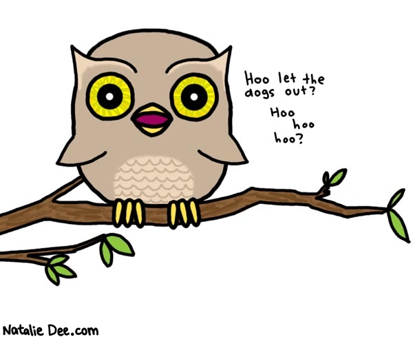 Natalie Dee comic: that owls trippin balls * Text: 

Hoo let the dogs out? Hoo hoo hoo?



