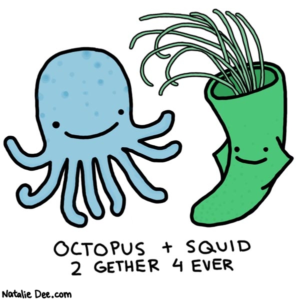 Natalie Dee comic: theyre in love duh * Text: 

OCTOPUS + SQUID


2 GETHER 4 EVER




