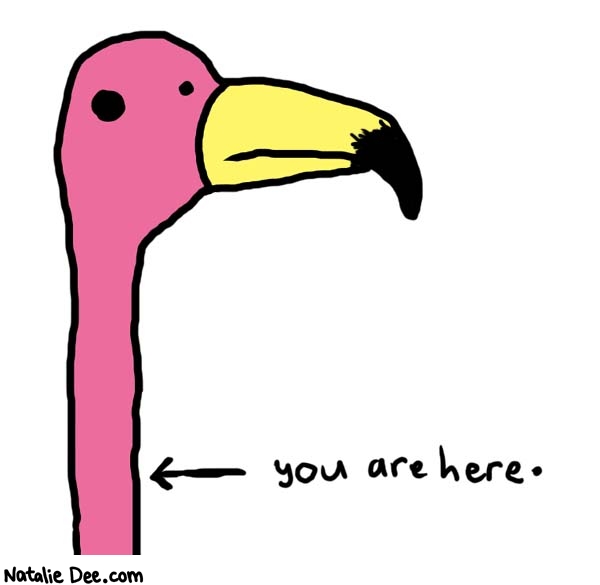 Natalie Dee comic: flamingo * Text: 

you are here.



