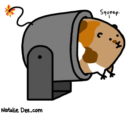 Natalie Dee comic: guinea pig cannon * Text: 

Squeep.



