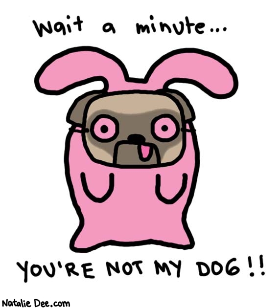 Natalie Dee comic: not my dog * Text: 
Wait a minute...


YOU'RE NOT MY DOG!!



