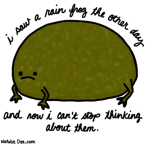 Natalie Dee comic: is it that i cant stop or i refuse to stop * Text: I saw a rain frog the other day and now I can't stop thinking about them.

